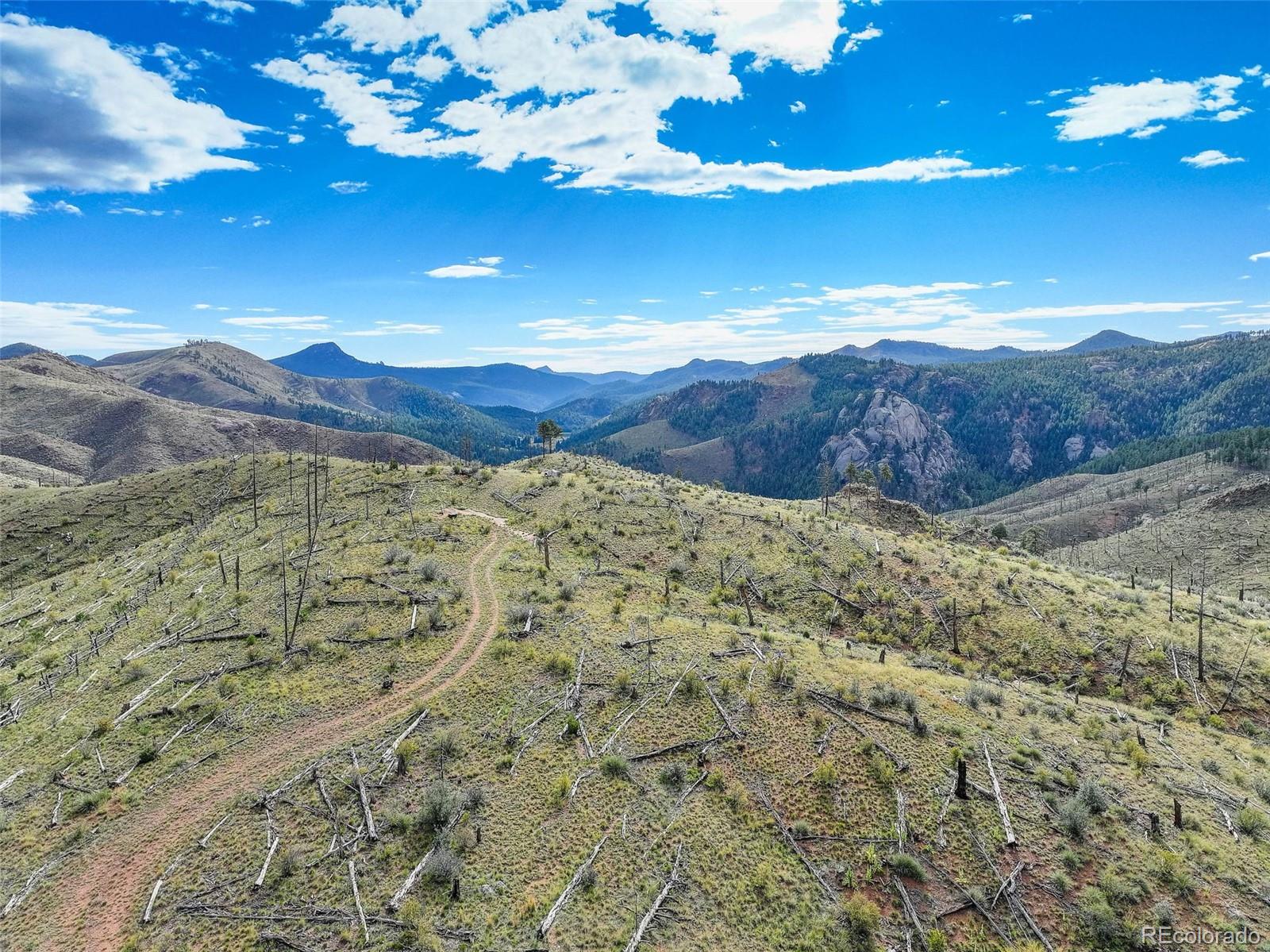 770 Holmes Gulch Way Bailey, CO 80421 - Photo 14 of 42 a view of an outdoor space and mountain view