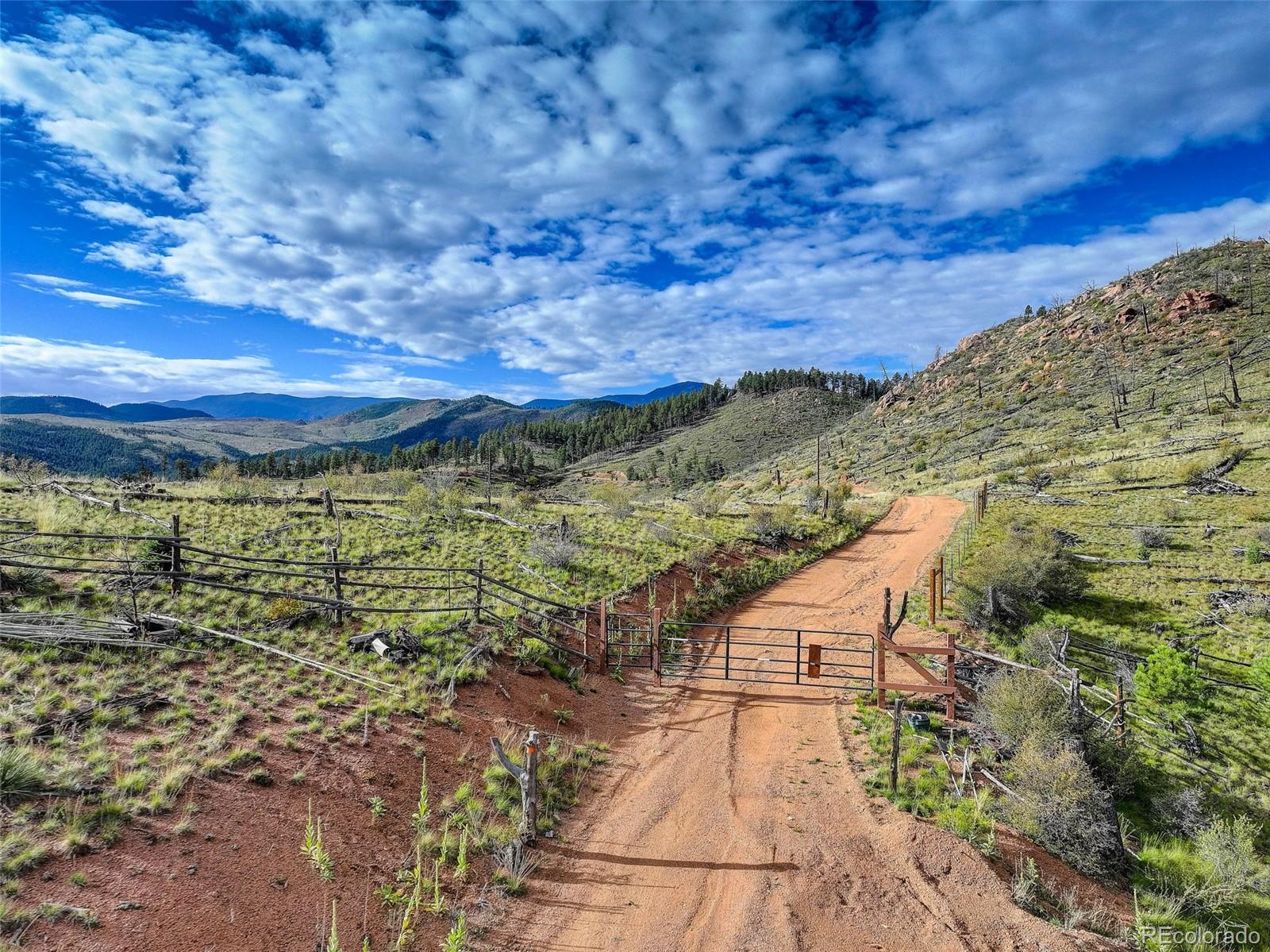 770 Holmes Gulch Way Bailey, CO 80421 - Photo 19 of 42 a view of residential houses with outdoor space
