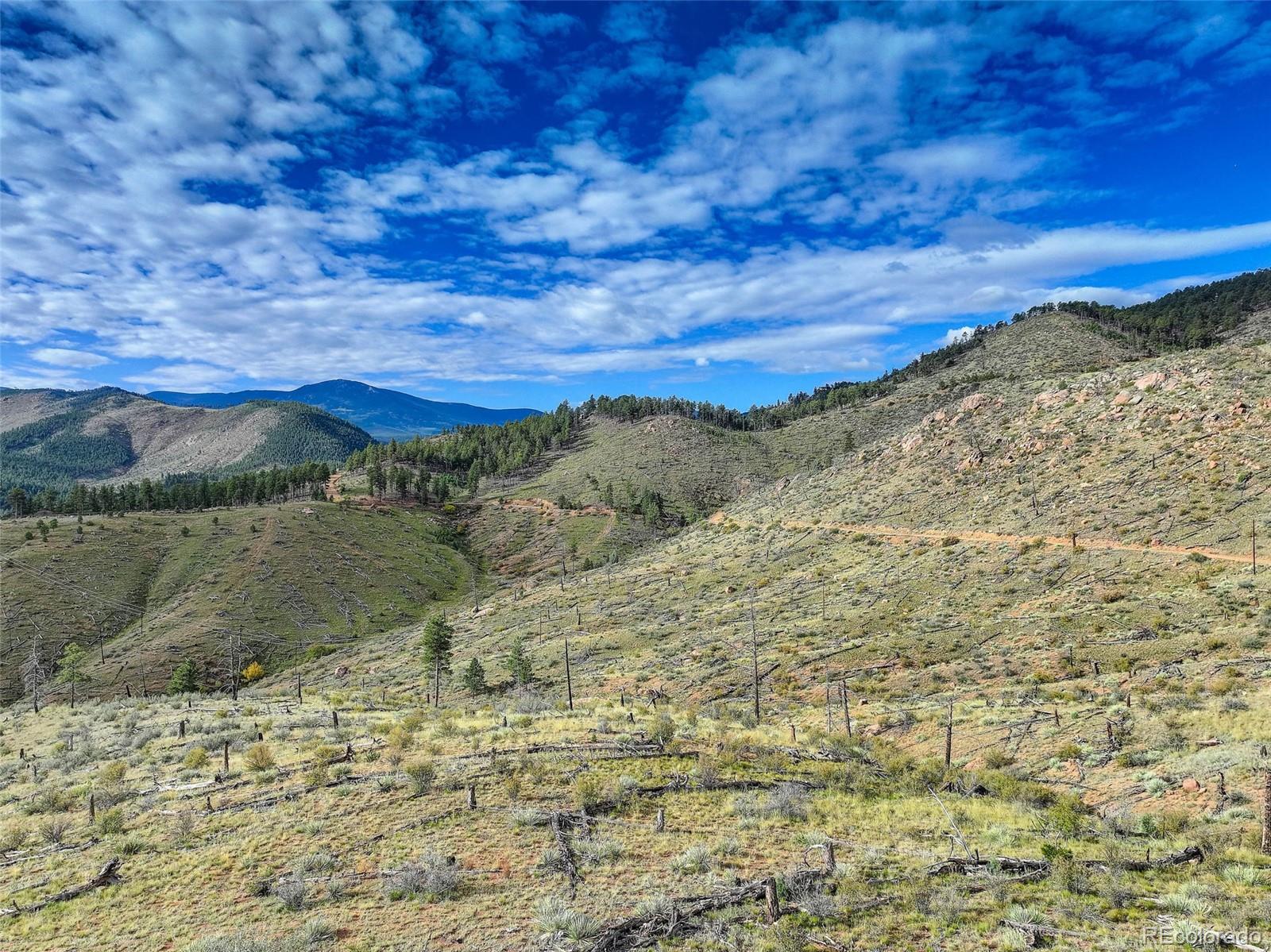770 Holmes Gulch Way Bailey, CO 80421 - Photo 22 of 42 a view of mountains and valleys