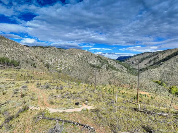 $325,000 | 770 Holmes Gulch Way, Bailey, CO 80421