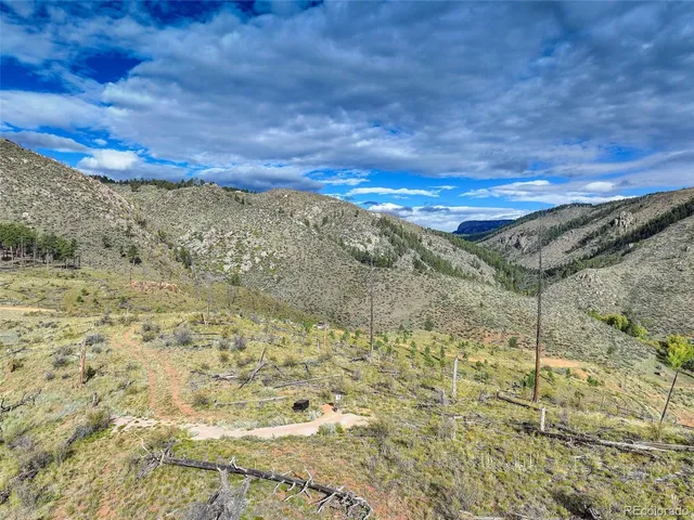 a view of a dry field with trees in the background