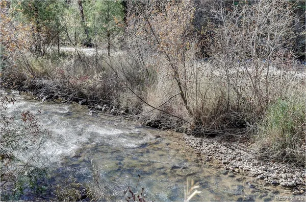 $325,000 | 770 Holmes Gulch Way, Bailey, CO 80421