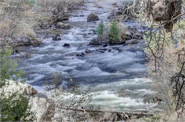 a view of a dry field with trees