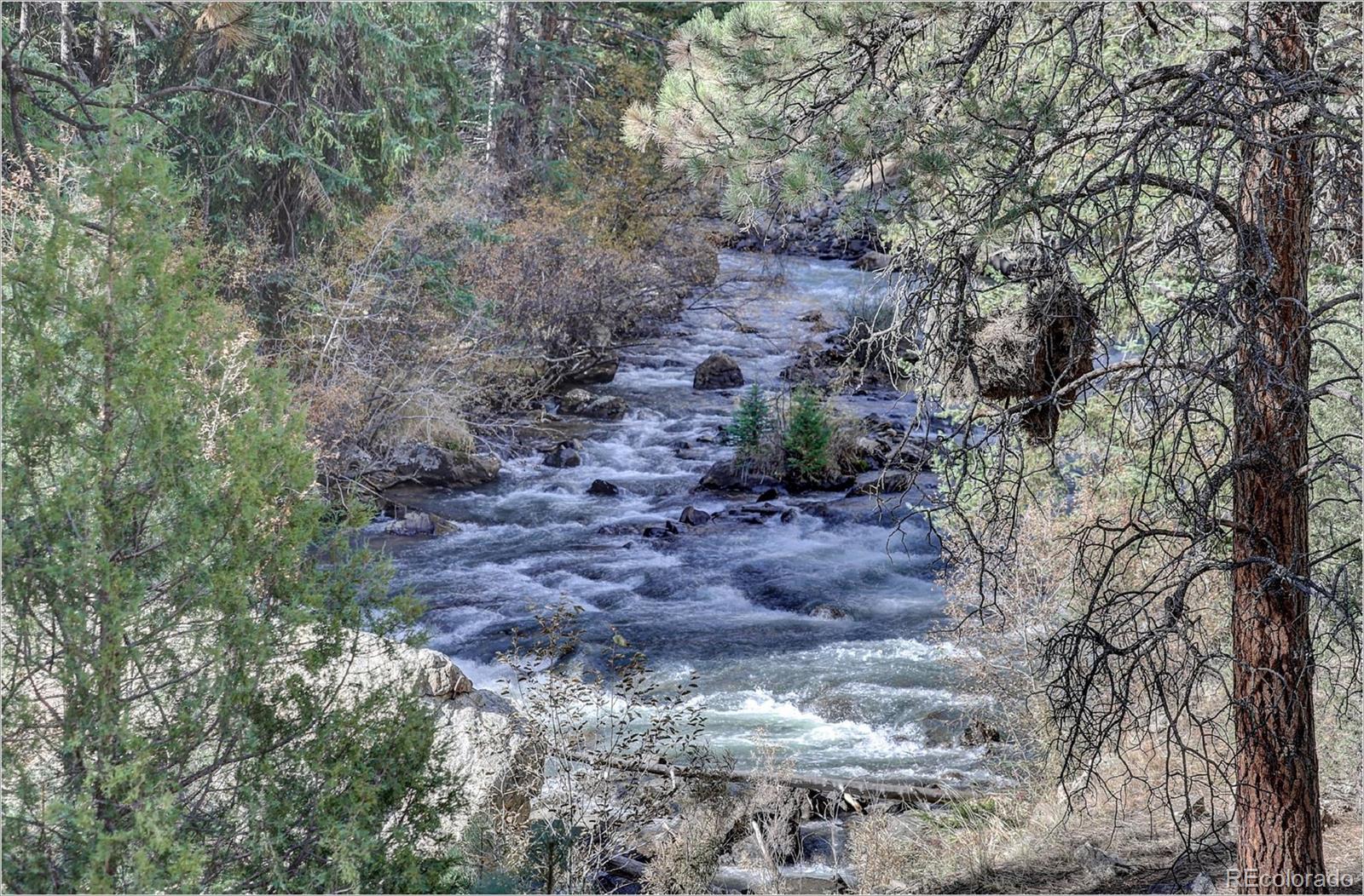 770 Holmes Gulch Way Bailey, CO 80421 - Photo 26 of 42 a view of a yard