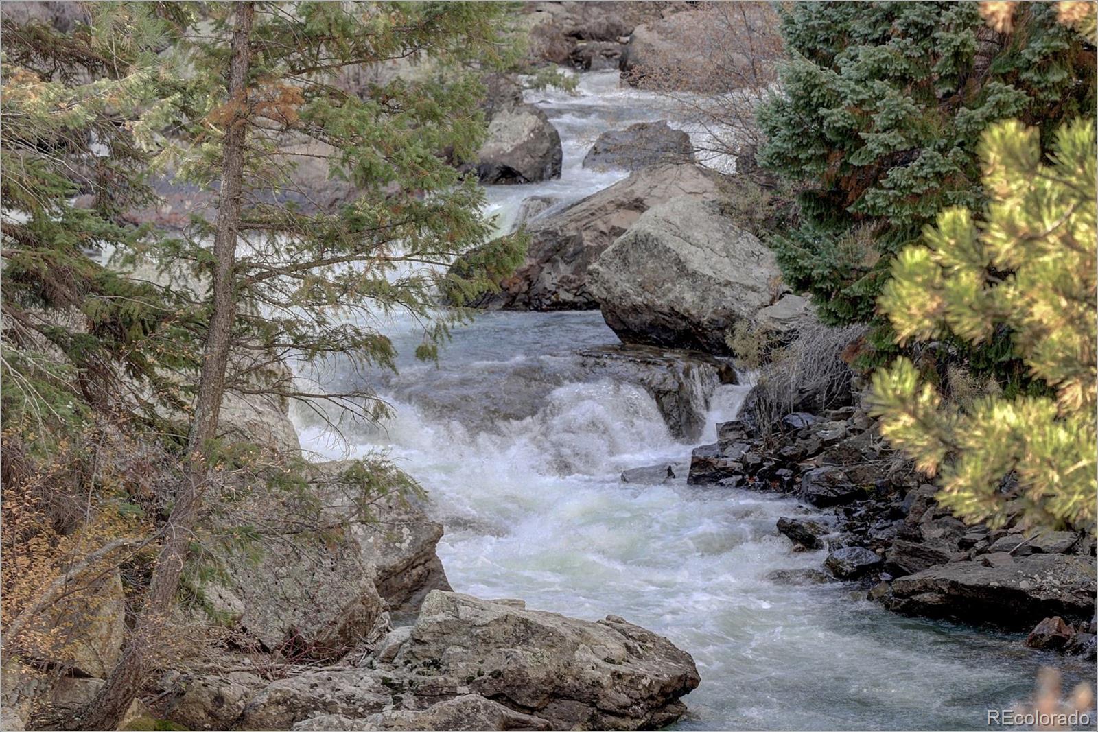 770 Holmes Gulch Way Bailey, CO 80421 - Photo 27 of 42 a view of a dry field with trees