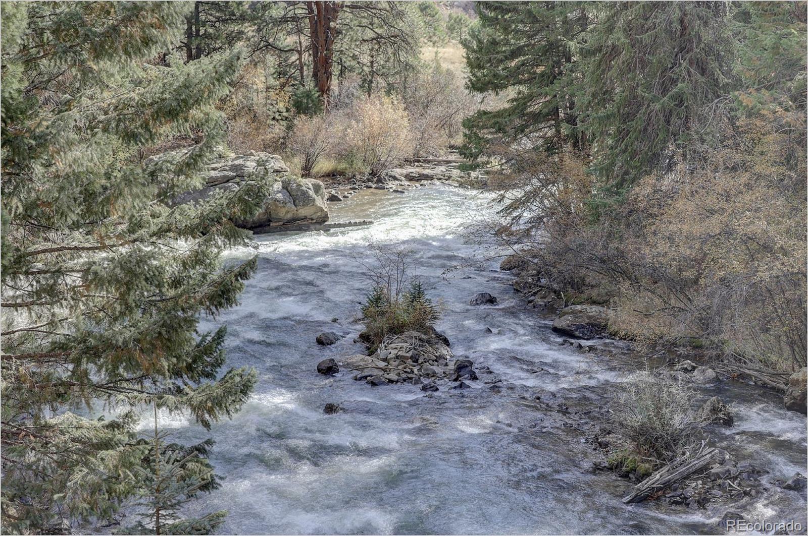 770 Holmes Gulch Way Bailey, CO 80421 - Photo 28 of 42 a view of a yard with large trees