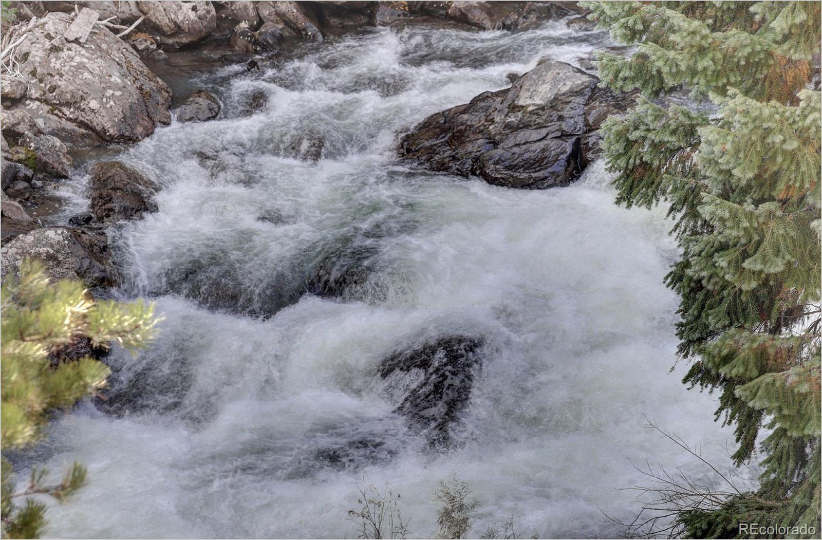 770 Holmes Gulch Way Bailey, CO 80421 - Photo 29 of 42 a view of water plant in a yard