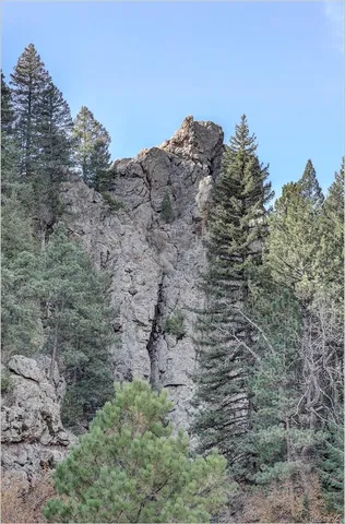 a view of an outdoor space and a yard