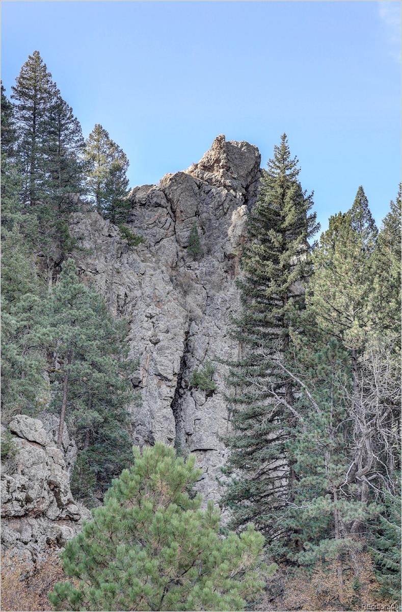 770 Holmes Gulch Way Bailey, CO 80421 - Photo 31 of 42 a view of a dry field