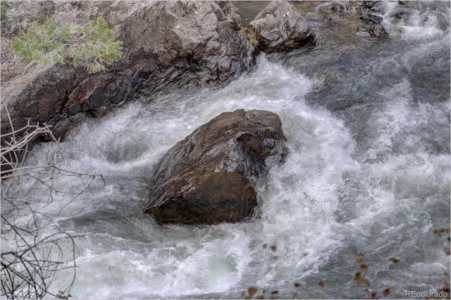 a view of a dry field with trees