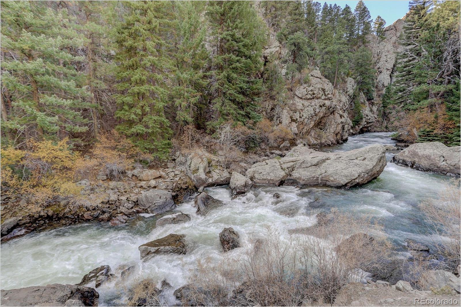 770 Holmes Gulch Way Bailey, CO 80421 - Photo 34 of 42 a view of a dry field with trees