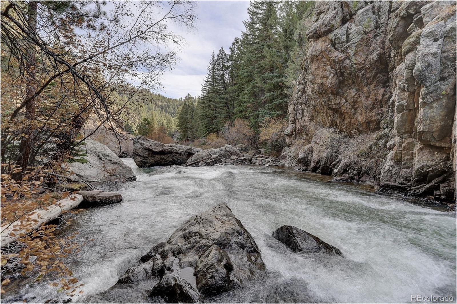 770 Holmes Gulch Way Bailey, CO 80421 - Photo 35 of 42 a view of outdoor space with trees