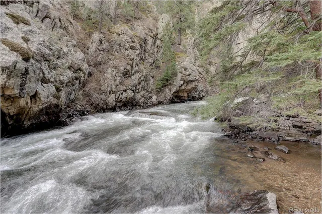 a view of a dry yard with trees in the background