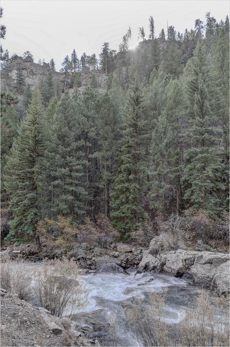 770 Holmes Gulch Way Bailey, CO 80421 - Photo 38 of 42 a view of a dry yard with trees in the background