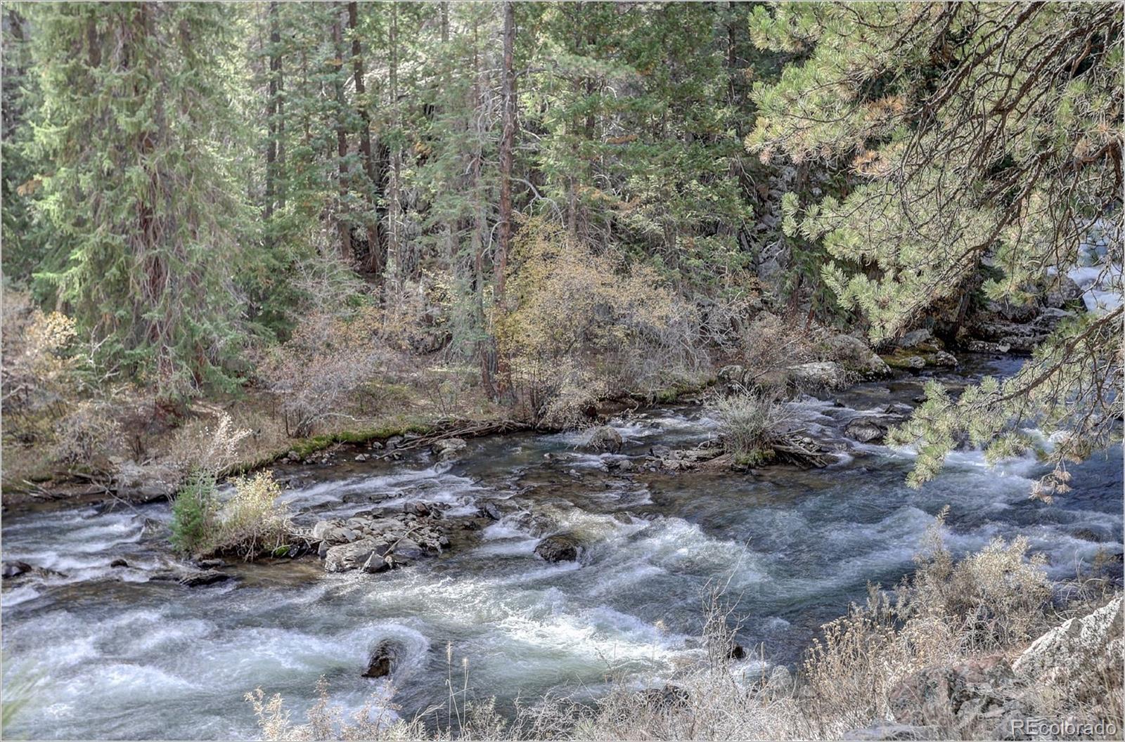 770 Holmes Gulch Way Bailey, CO 80421 - Photo 40 of 42 a view of a dry yard with trees and bushes
