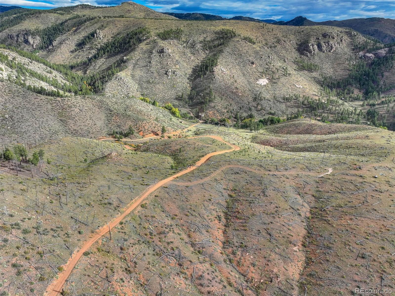 770 Holmes Gulch Way Bailey, CO 80421 - Photo 9 of 42 a view of a road with a mountain view