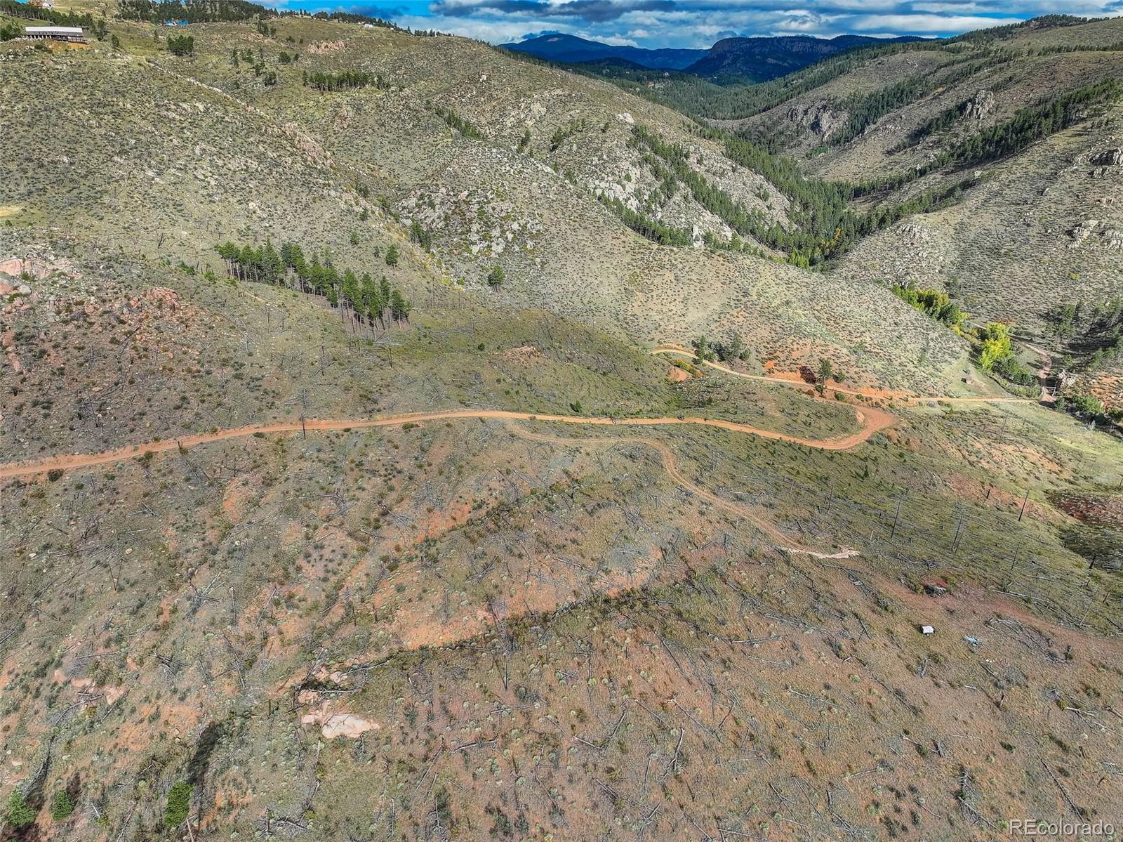 770 Holmes Gulch Way Bailey, CO 80421 - Photo 10 of 42 a view of a dry yard with wooden fence