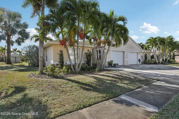 a palm tree sitting in front of a house with a yard