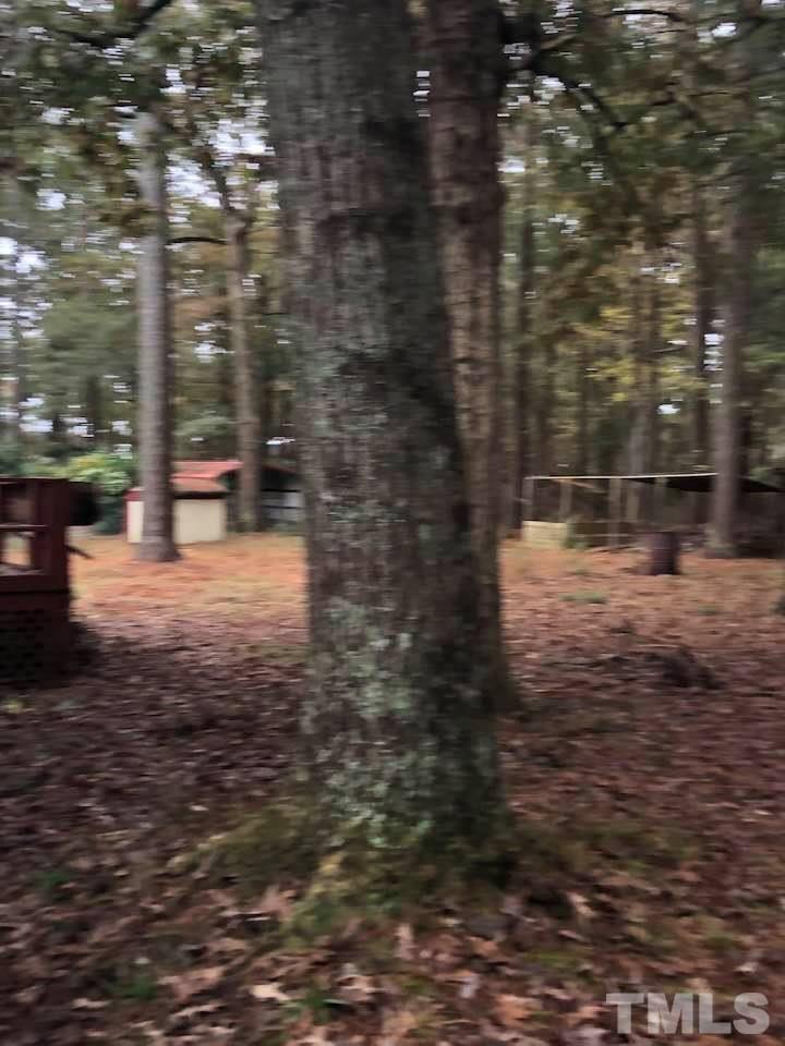 399 East Gordon Road Selma, NC 27576 - Photo 8 of 23 Gallery Image 8