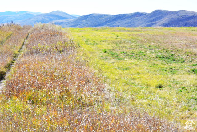 900 West Smit Road Georgetown, ID 83239 - Photo 14 of 52