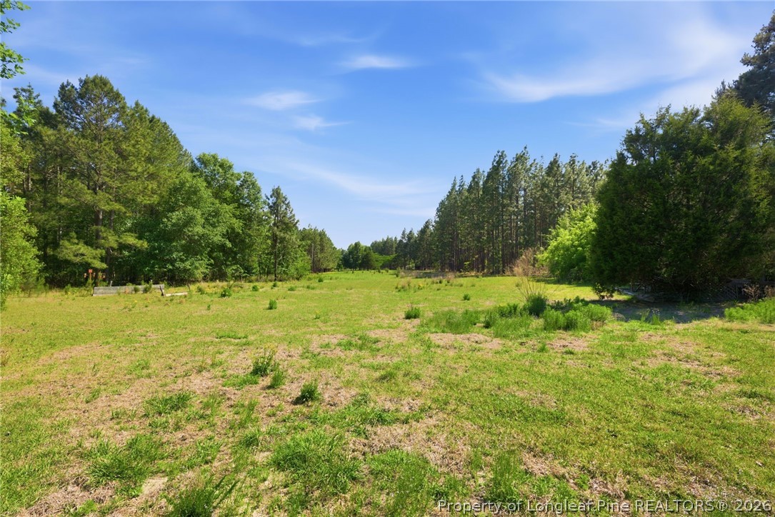 478 Rattlesnake Trail Aberdeen, NC 28315 - Photo 2 of 44 a view of a field with an trees