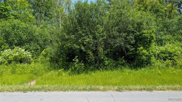 $32,000 | 981 Swann Road, Lewiston, NY 14174