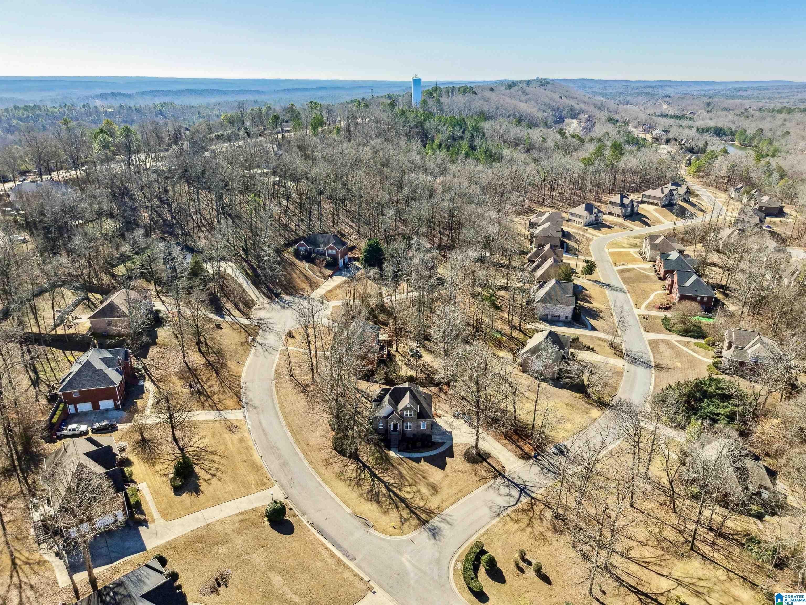7293 Bayberry Road Helena, AL 35022 - Photo 42 of 47