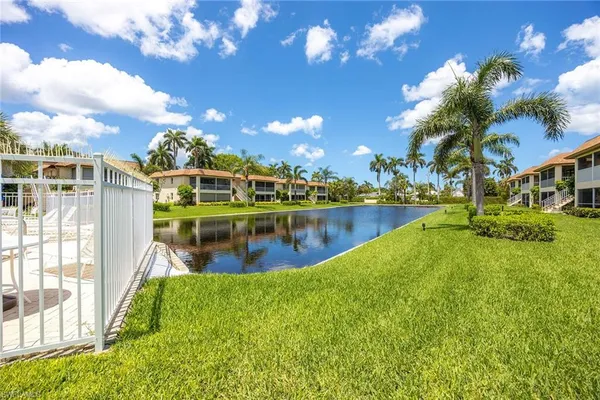 a view of a backyard with plants and palm trees