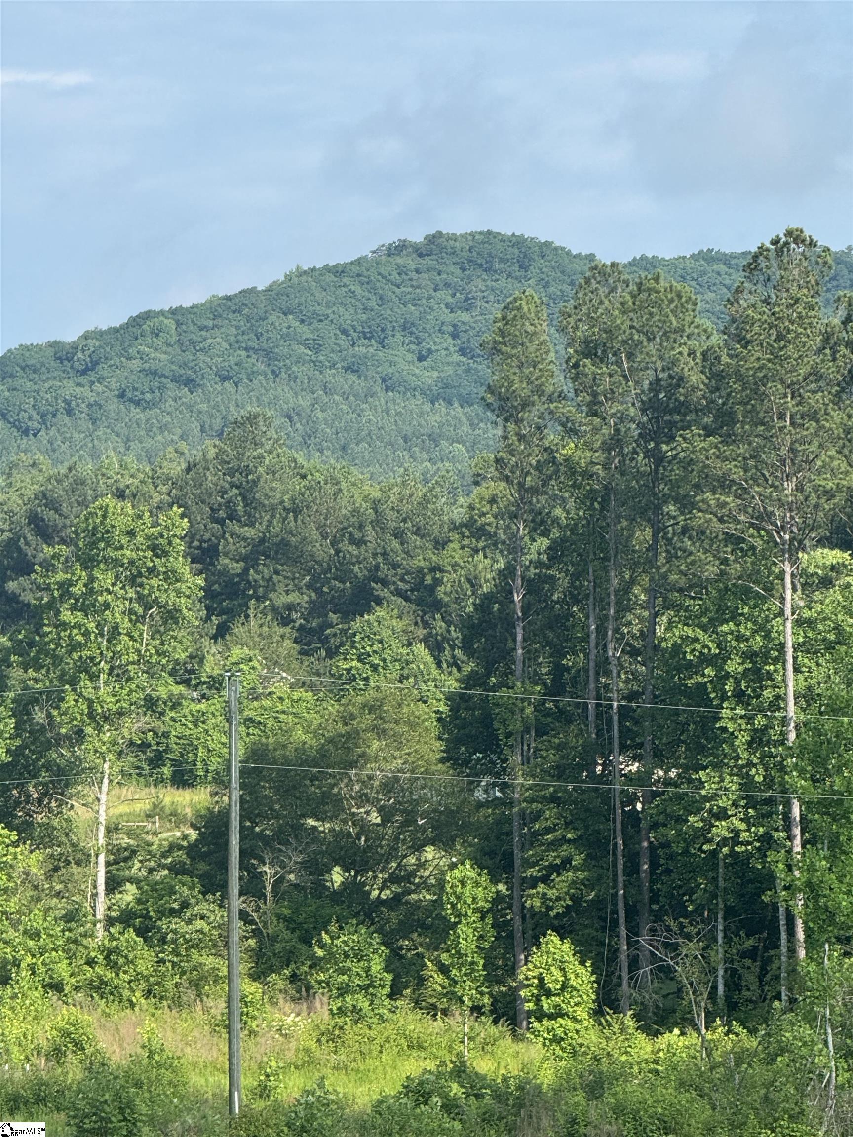 3 Hawk Lane Easley, SC 29640 - Photo 5 of 9