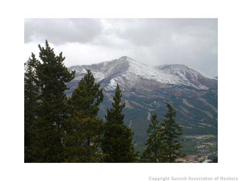 56 View Lane, Unit 7F Breckenridge, CO 80424 - Photo 15 of 16