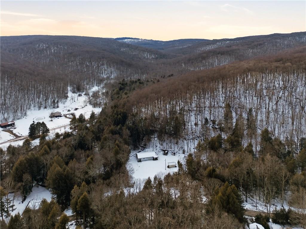 169 Glenview Road Somerset, PA 15501 - Photo 11 of 17 a view of a lot of trees and mountains