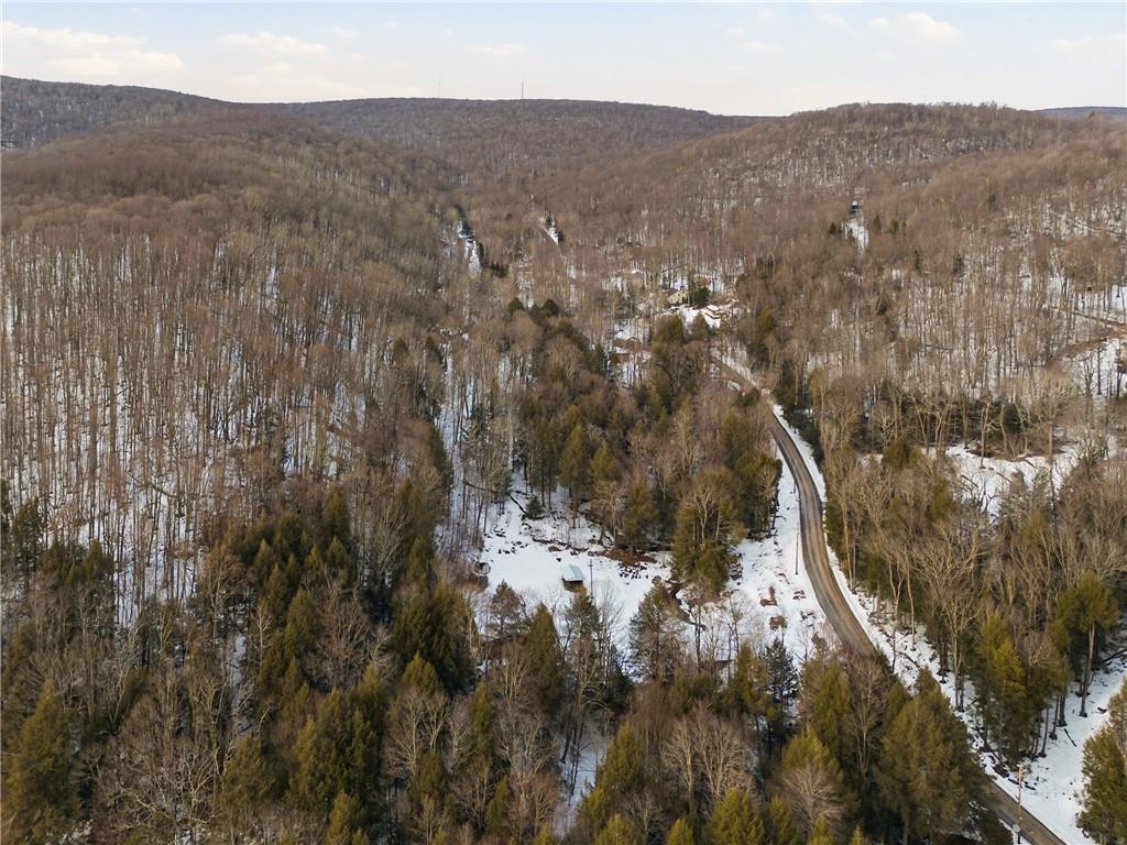 169 Glenview Road Somerset, PA 15501 - Photo 16 of 17 a view of a forest with mountains in the background