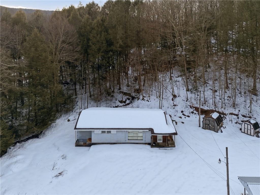169 Glenview Road Somerset, PA 15501 - Photo 2 of 17 a view of backyard with large trees
