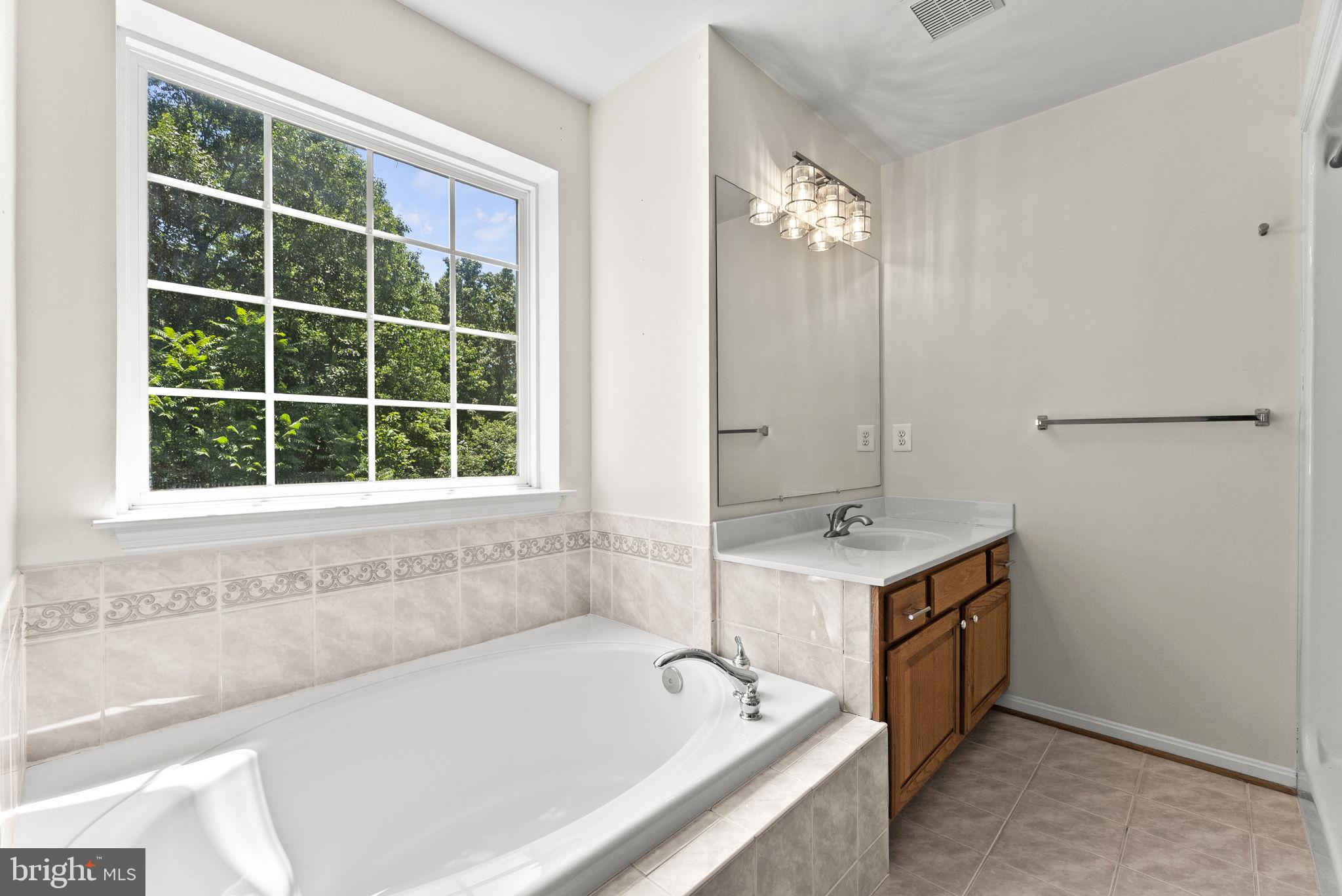 10275 Mountain Run Lake Road Culpeper, VA 22701 - Photo 56 of 89
