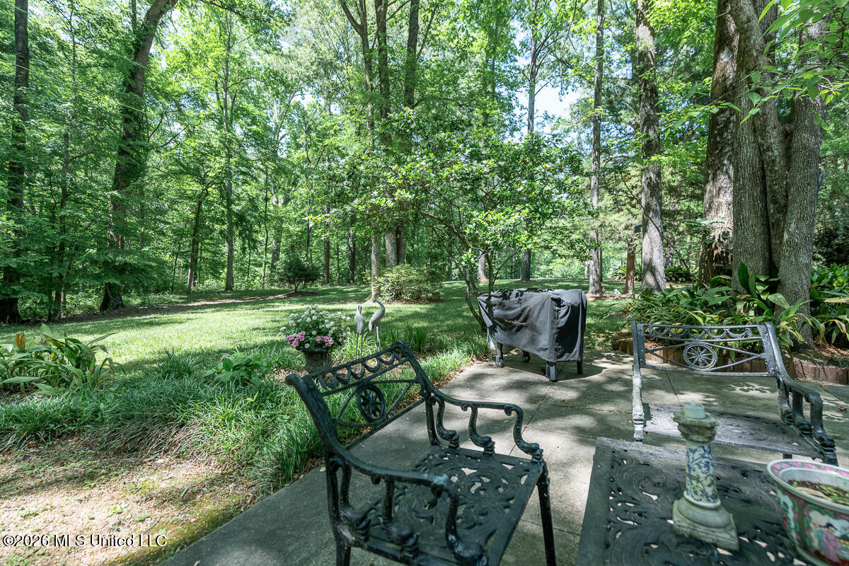 14 Marshall Road Natchez, MS 39120 - Photo 60 of 82 14MarshallRd_LoRes-59