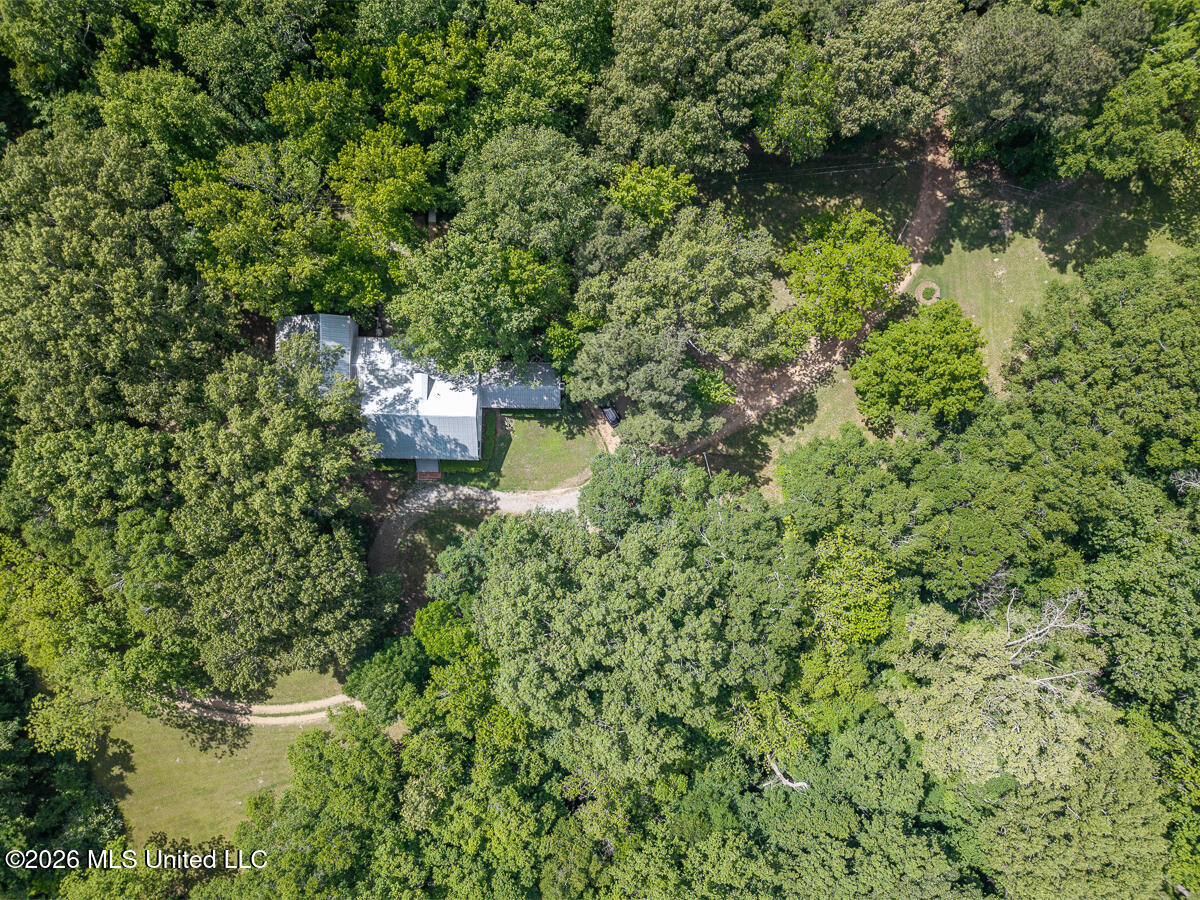 14 Marshall Road Natchez, MS 39120 - Photo 67 of 82 14MarshallRd_LoRes-79