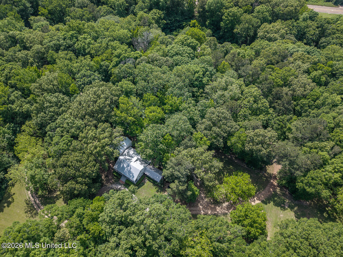 14 Marshall Road Natchez, MS 39120 - Photo 68 of 82 14MarshallRd_LoRes-78