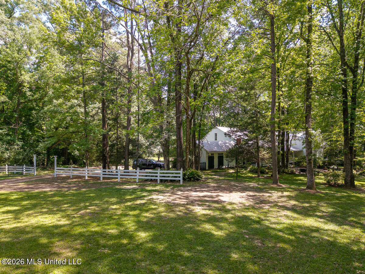 14 Marshall Road Natchez, MS 39120 - Photo 69 of 82 14MarshallRd_LoRes-74