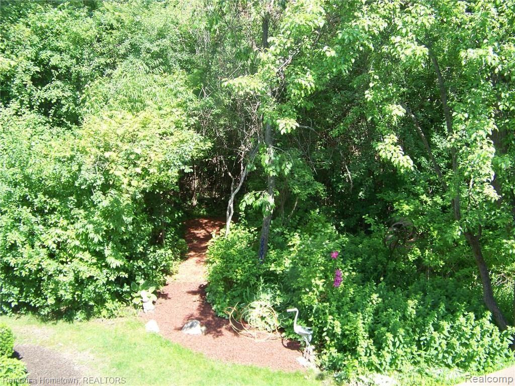 11184 Pinehurst Road Plymouth, MI 48170 - Photo 26 of 29 Park-like setting.jpg