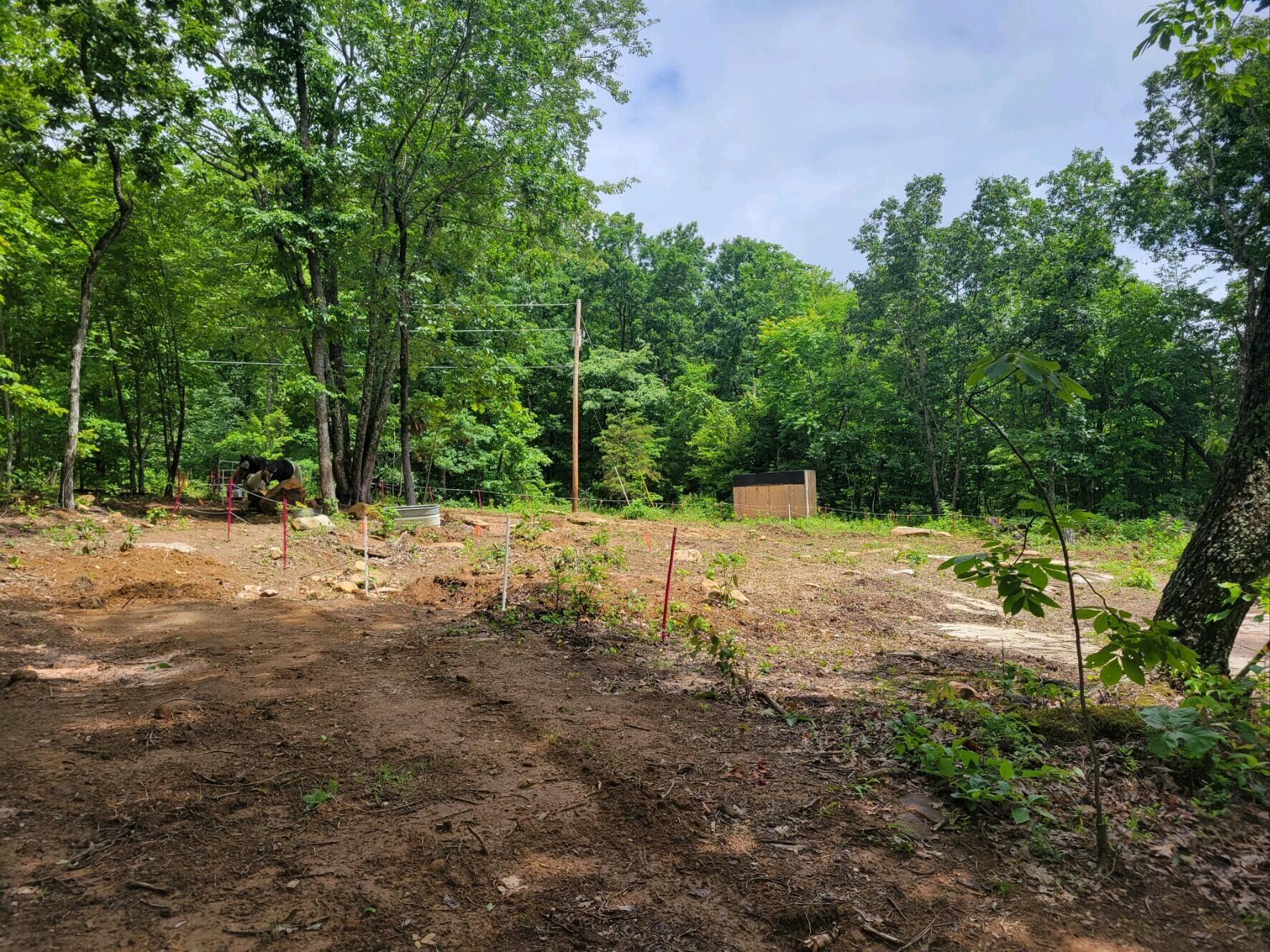 954 Big Ridge Road Spring City, TN 37381 - Photo 5 of 13 20230623_115731