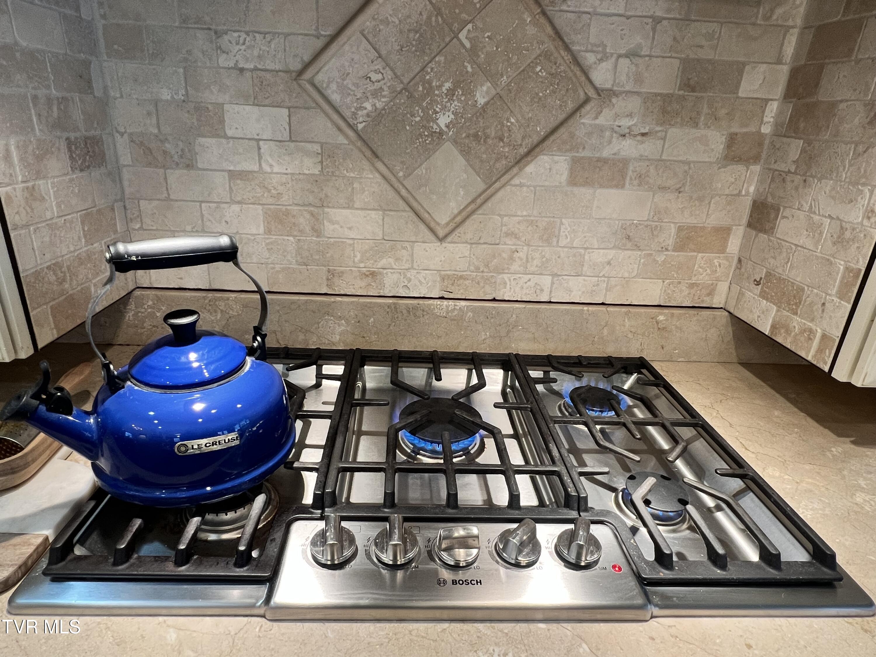 2416 Edinburgh Channel Road Kingsport, TN 37664 - Photo 19 of 60 Edin Stove6