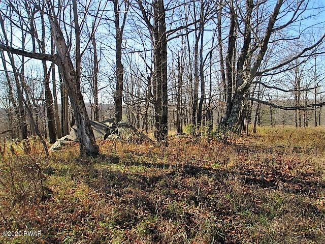 5 Avoy Heights Road Lake Ariel, PA 18436 - Photo 9 of 13 6