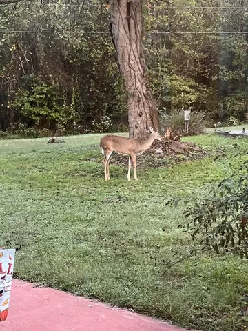 $665,000 | 2360 7 Mile Ferry Road, Clarksville, TN 37040