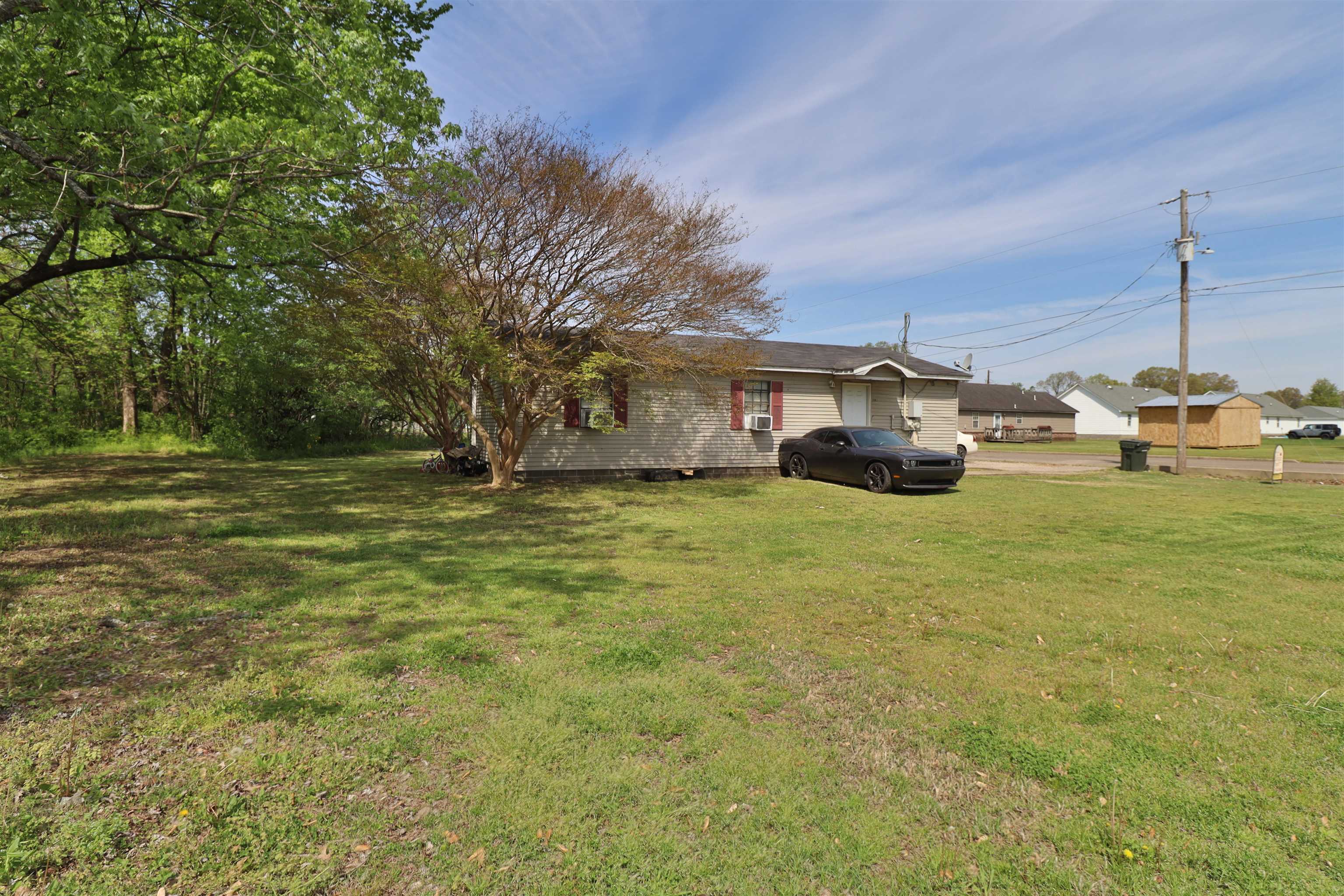 319 Wayne Avenue Ripley, TN 38063 - Photo 3 of 10 a view of yard with swimming pool and trees