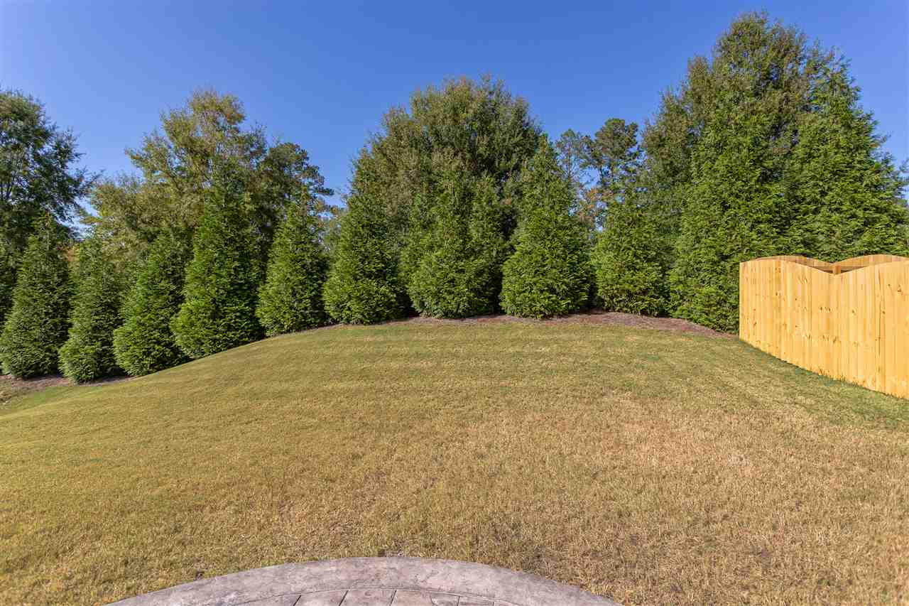 2476 Everstone Road Wake Forest, NC 27587 - Photo 29 of 30 Back Yard