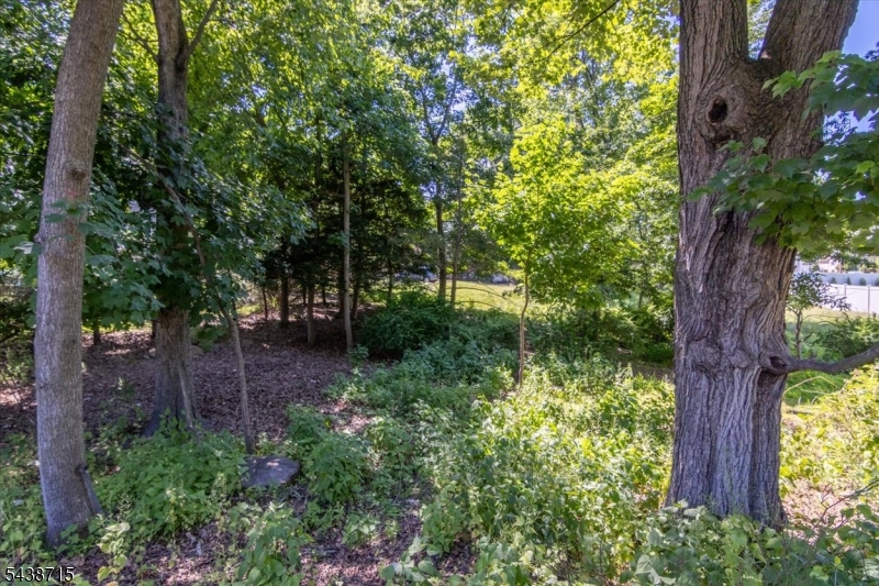 234 Ridge Road Cedar Grove, NJ 07009 - Photo 4 of 13
