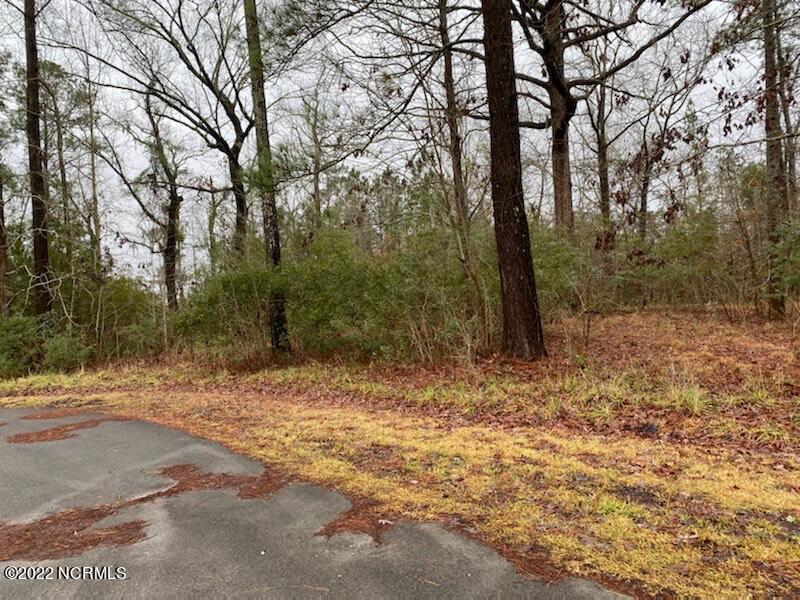 0 Long Point Road Chocowinity, NC 27817 - Photo 2 of 3 0 Long Point Road