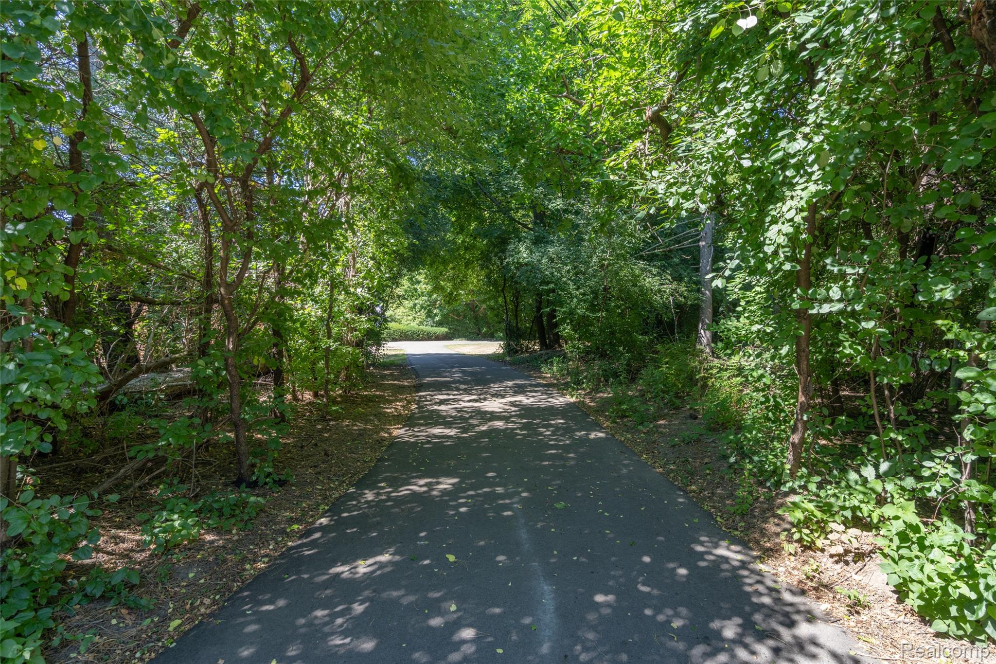 60 Devon Road Bloomfield Hills, MI 48302 - Photo 50 of 50 Paved pathway surrounded by dense, mature tree canopy