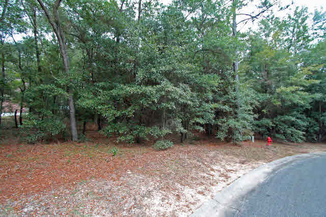 6 Canebreak Place Fairhope, AL 36532 - Photo 1 of 5