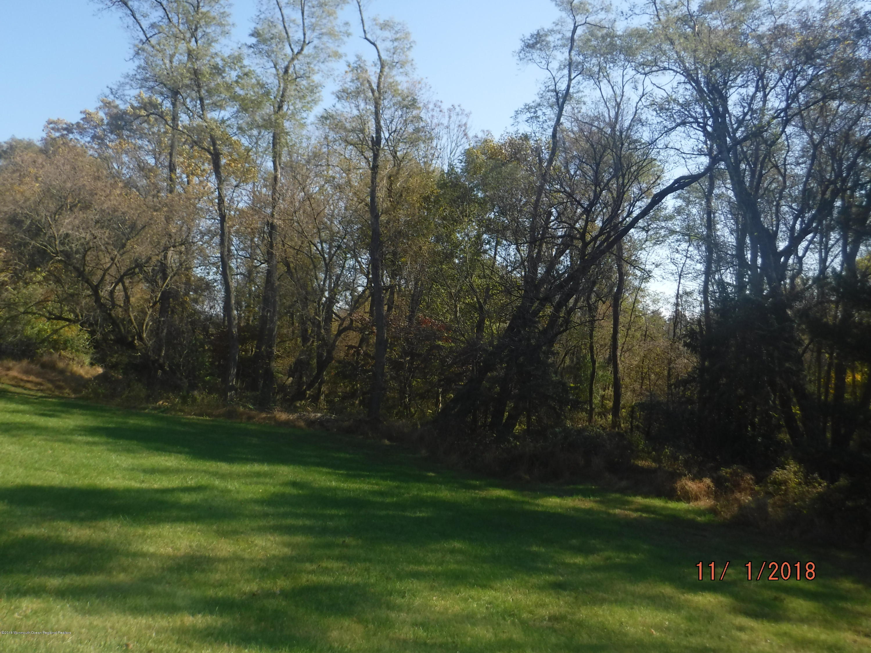 23 Paddock Lane Colts Neck, NJ 07722 - Photo 8 of 64 yard